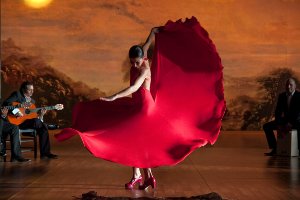 Flamenco, Flamenco (España). Foto cortesía FFM Flamenco, Flamenco (España). Foto cortesía FFM