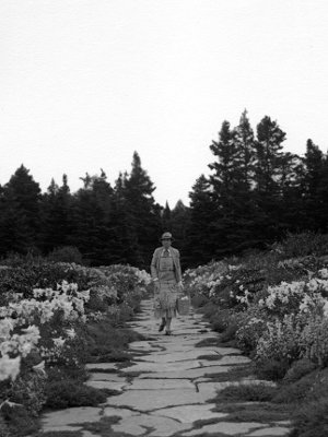 Il etait deux fois jardin Il etait deux fois jardin