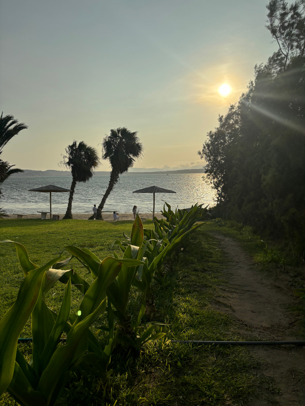 Vista del mar alhotel Condor Club & Beach Resort - Paracas