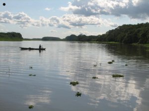 Indigena navegando sobre el rio Amazonas. Foto Patrick Sheridan
