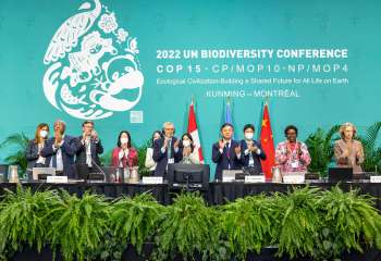 Momento Histórico - Aprobacion del Marco Mundial de la Diversidad Biologica en la COP15 en Montreal. Foto CDB