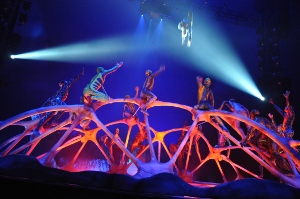 Esqueleto de tortuga gigante. Foto Patrick Sheridan