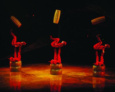 Hormigas y los maices