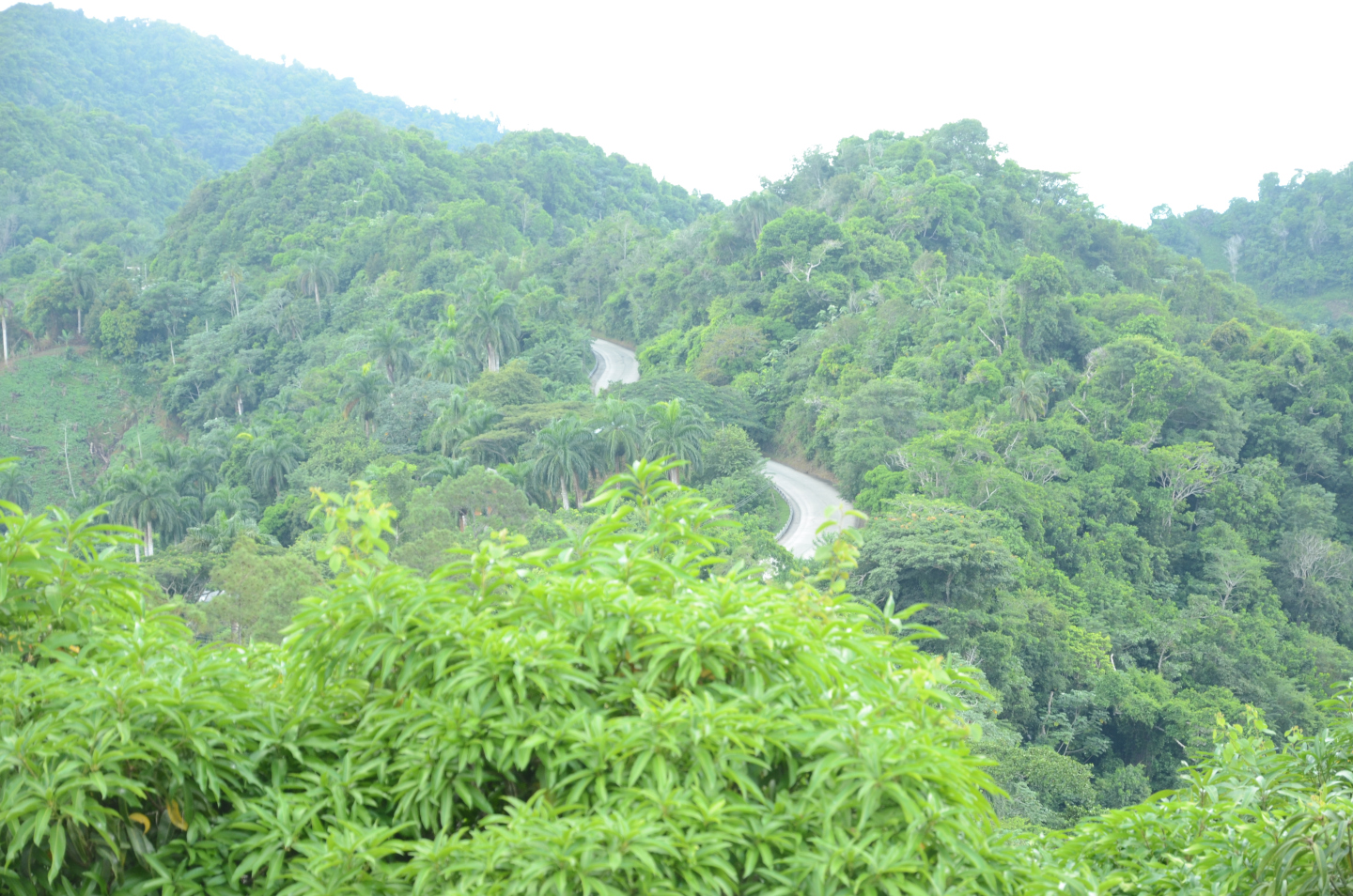 Paysage de Cuba