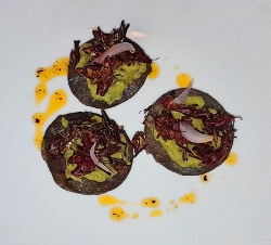 mtl lumiere 2017 tostadas chapulines 2