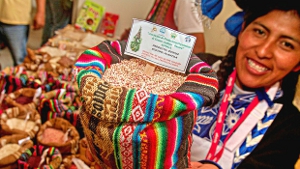 sial 2016 quinua peruana wiraccocha
