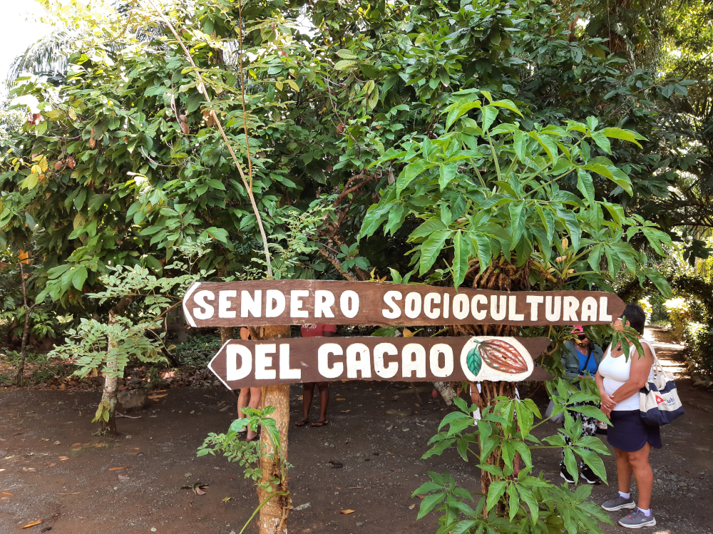 Sendero del Cacao Sendero del Cacao