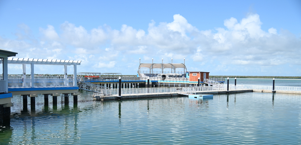 El Delfinario de Cayo Coco - Foto: Orbita Popular