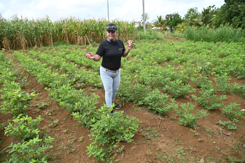Ejemplo de Agroturismo - Siembra con productos y abono naturales - Foto: Orbita Popular