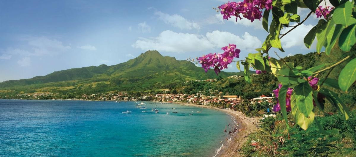 Baie-Saint-Pierre Fleurs-Roses, Martinique Photo courtesy of Luc Olivier