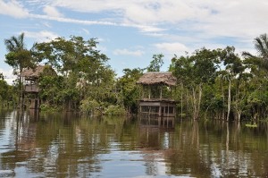 Vista de las aldeas en la amazonia. Foto Patrick Sheridan